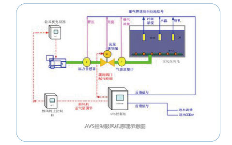 未标题-4-AVS-05.jpg