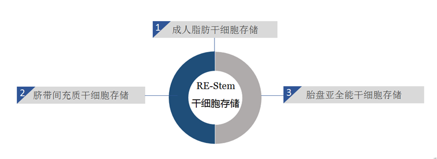 瑞思坦干细胞存储服务