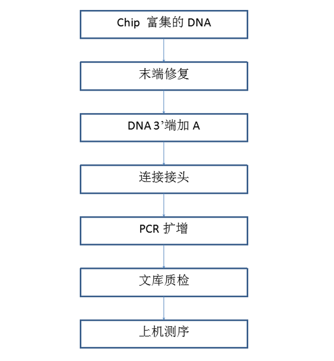 ChIP-seq