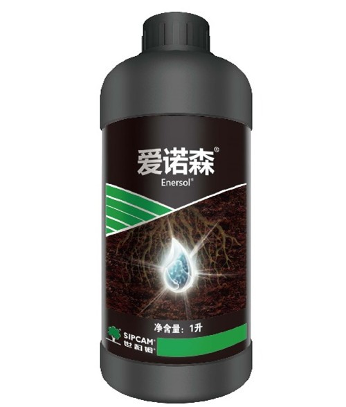 爱诺森(enersol)