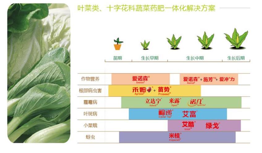 叶菜类,十字花科蔬菜药肥一体化解决方案