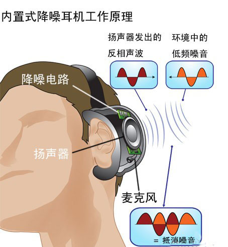 在人口耳_作者:安德烈·卡拉尔等(2)