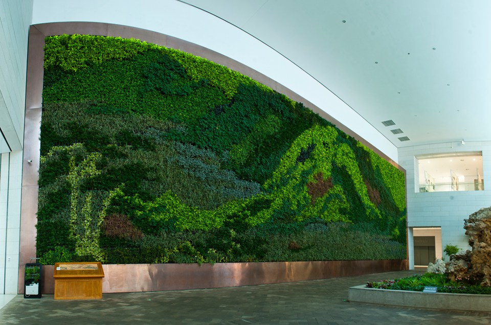 垂直绿化的长处及开展布景 垂直绿化的长处及开展布景