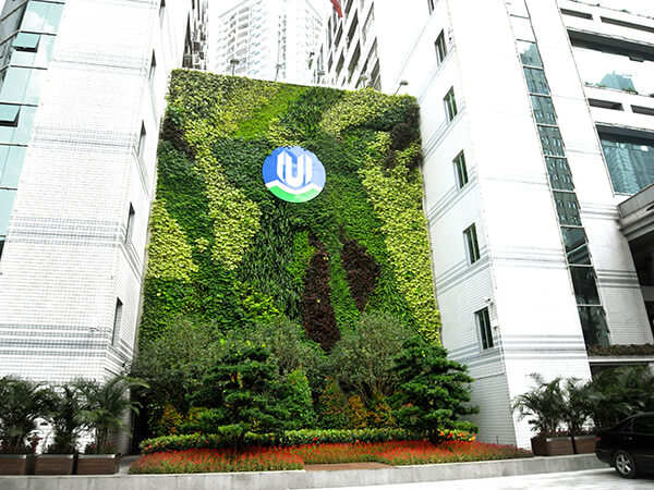立体绿化——让修建布满活力 立体绿化——让修建布满活力