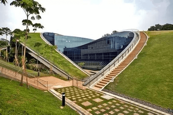 立体绿化——让修建布满活力 立体绿化——让修建布满活力