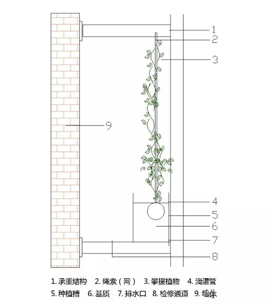 立体绿化——让修建布满活力 立体绿化——让修建布满活力