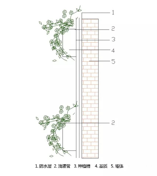 立体绿化——让修建布满活力 立体绿化——让修建布满活力