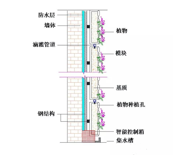 立体绿化——让修建布满活力 立体绿化——让修建布满活力