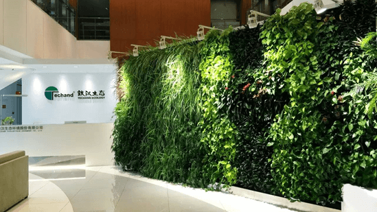 立体绿化——让修建布满活力 立体绿化——让修建布满活力