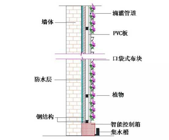 立体绿化——让修建布满活力 立体绿化——让修建布满活力