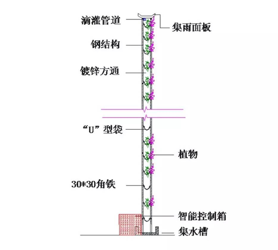 立体绿化——让修建布满活力 立体绿化——让修建布满活力
