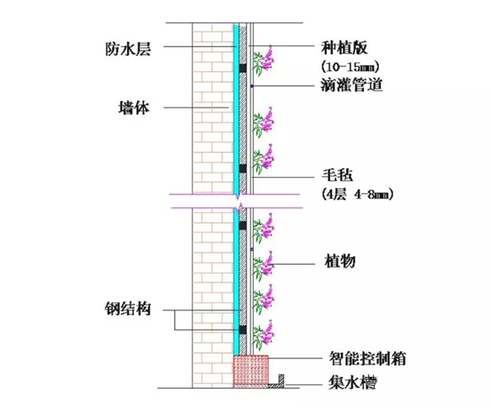 立体绿化——让修建布满活力 立体绿化——让修建布满活力