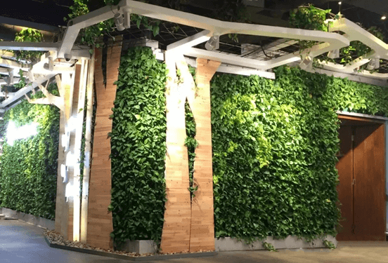 立体绿化——让修建布满活力 立体绿化——让修建布满活力