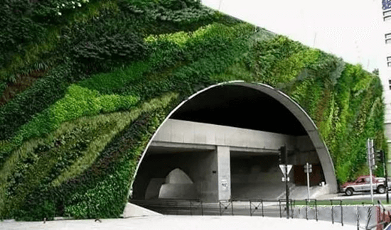 立体绿化——让修建布满活力 立体绿化——让修建布满活力