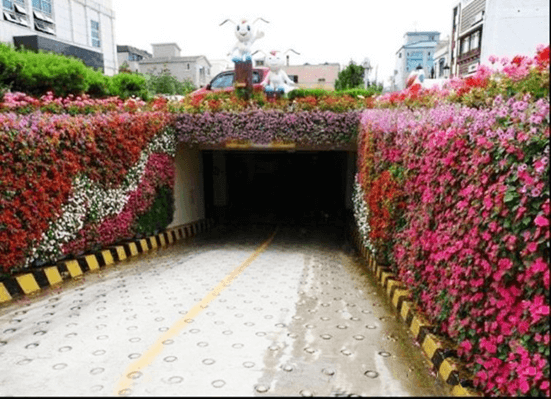 立体绿化——让修建布满活力 立体绿化——让修建布满活力