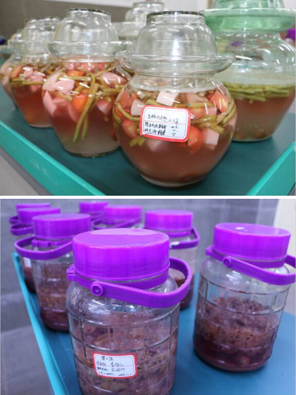 这所学校有点怪,学生变鬼怪老师做泡菜