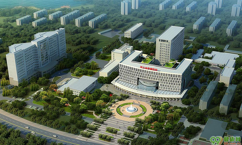 湖北省腫瘤醫院新建住院樓智能化工程