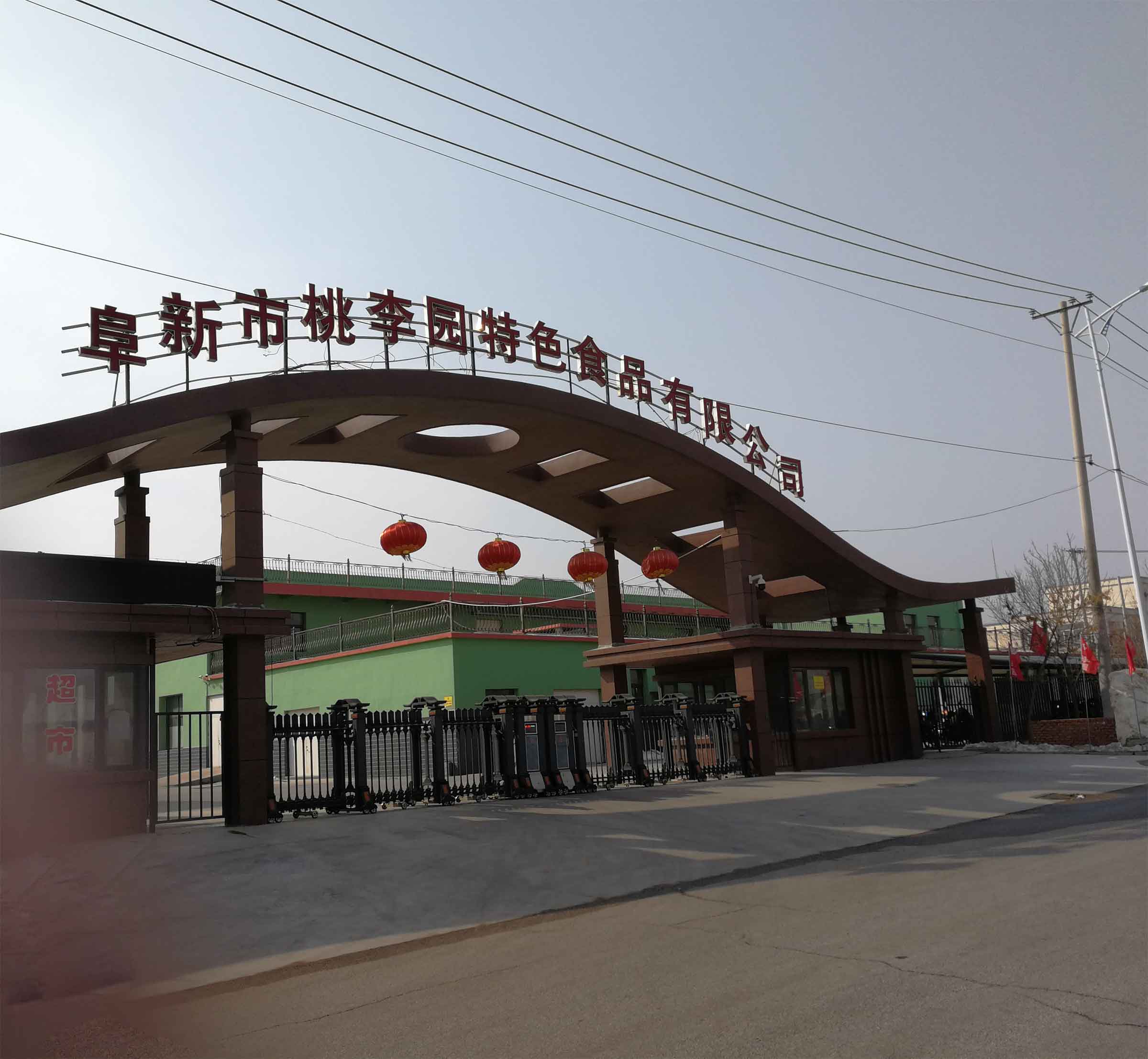 阜新桃李园特色食品有限公司