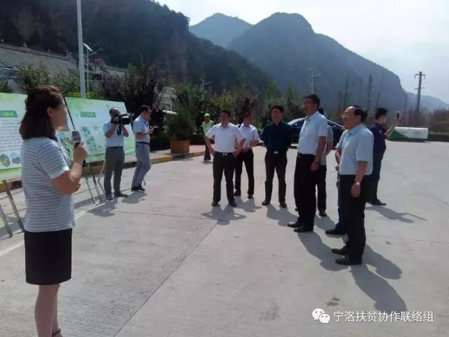 洛南县县长王宇鹏,县委常委,副县长支朝奇,县委常委,副县长刘群,副