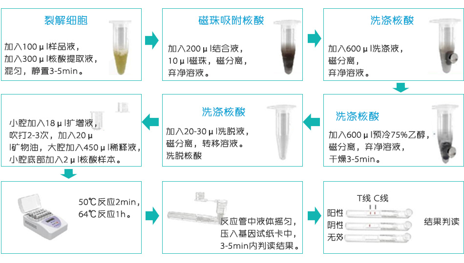 核酸提取