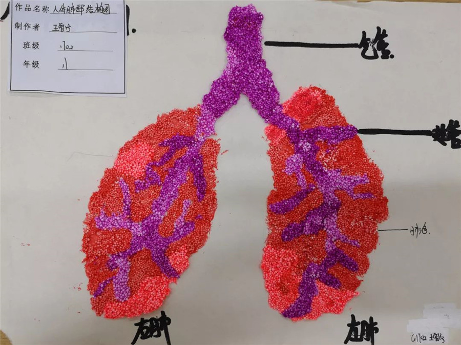 同学们选用纸板,橡皮泥,鞋盒,气球,毛线等环保材料,制作了动植物细胞