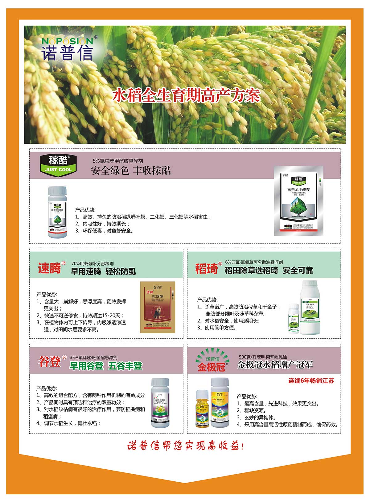 水稻全生育期高產方案