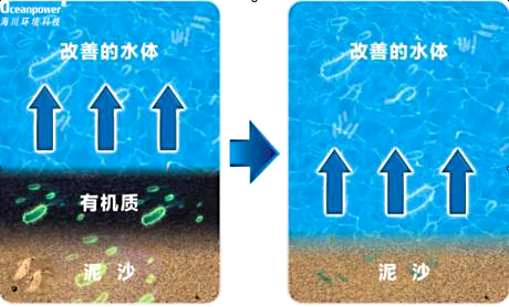 河道、黑臭水体综合治理解决方案