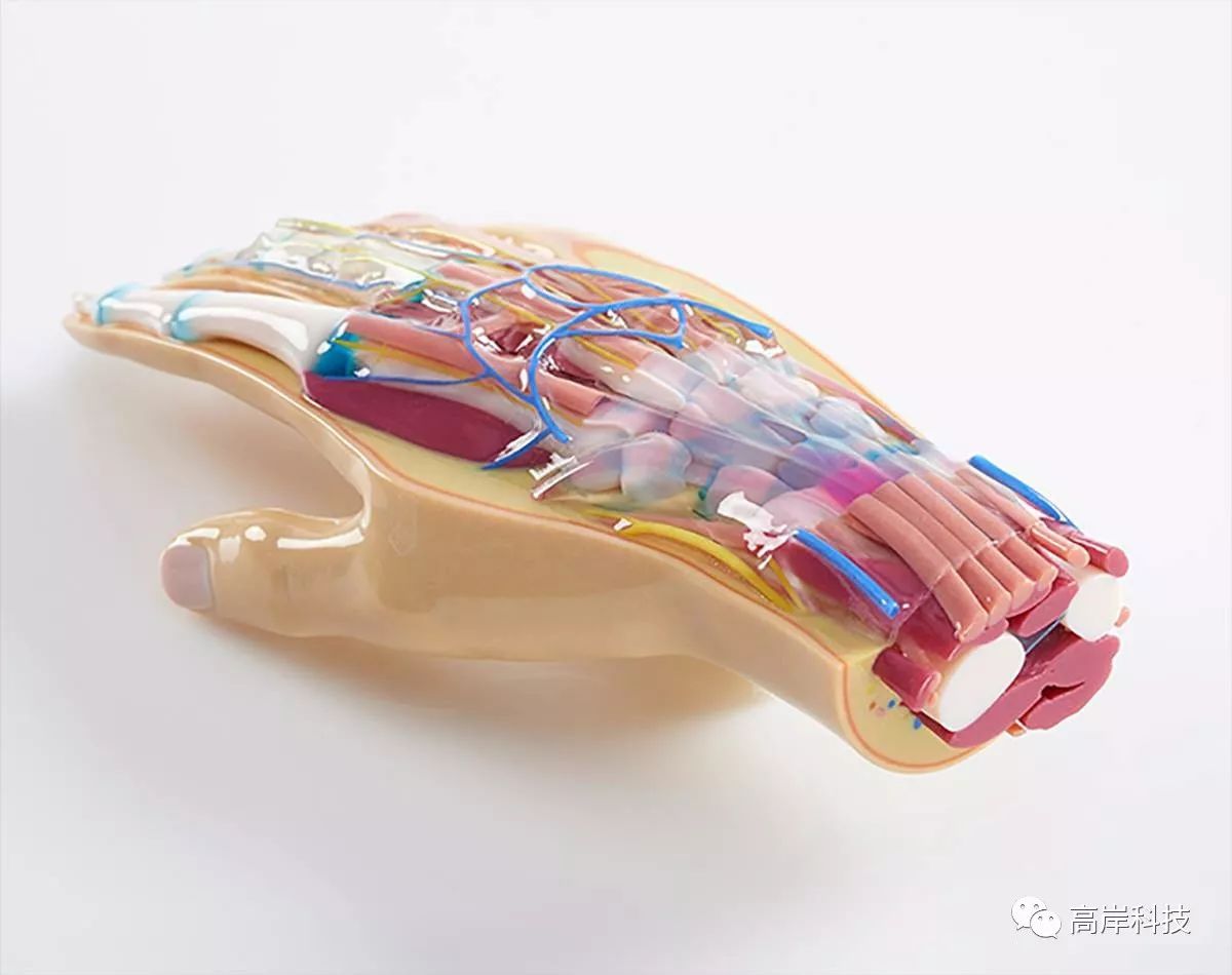 医疗领域如何应用3d打印?让患者更清楚,医疗更精准