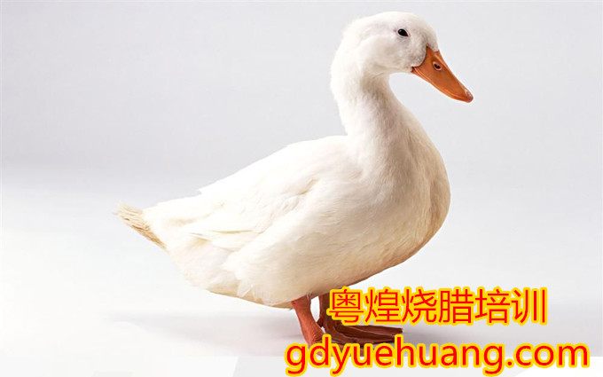 广东烧腊培训 脆皮烧鸭选鸭品种 