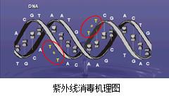 饮用水紫外线消毒综合解决方案