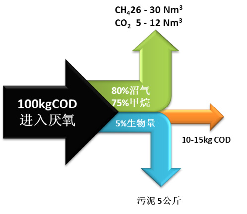 石化废水处理综合解决方案