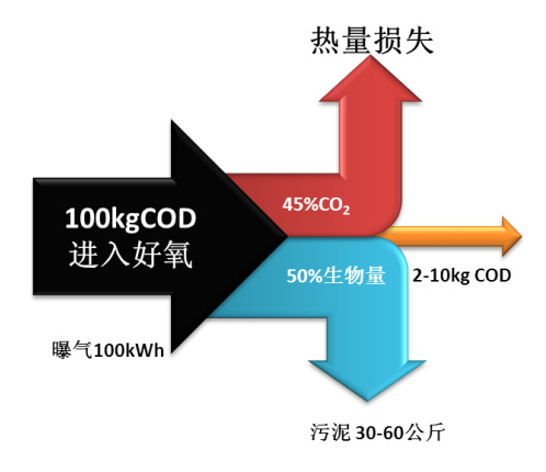 石化废水处理综合解决方案