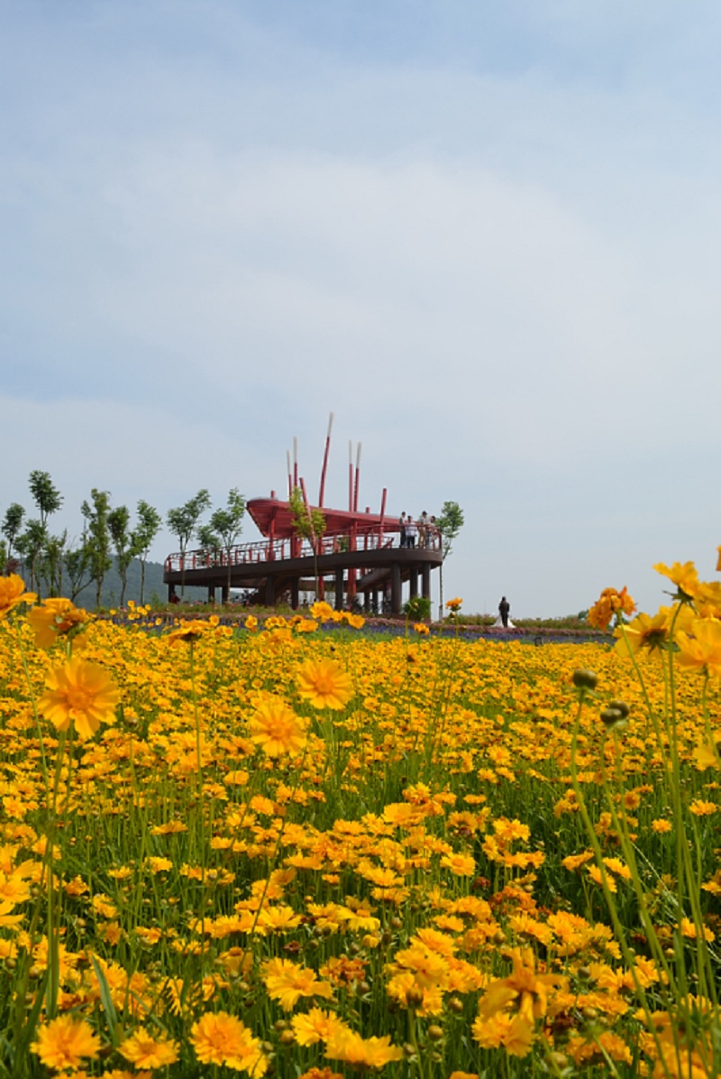 合肥市四季花海公园