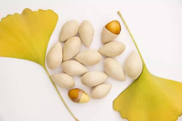 银杏果一次食用不超过10粒