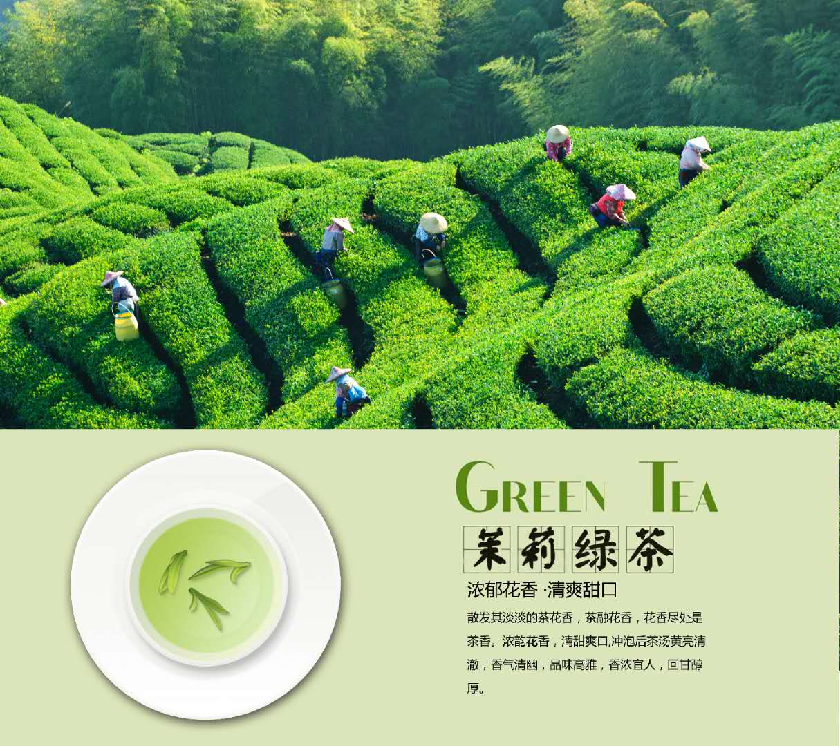 廣州桔邦茶葉有限公司
