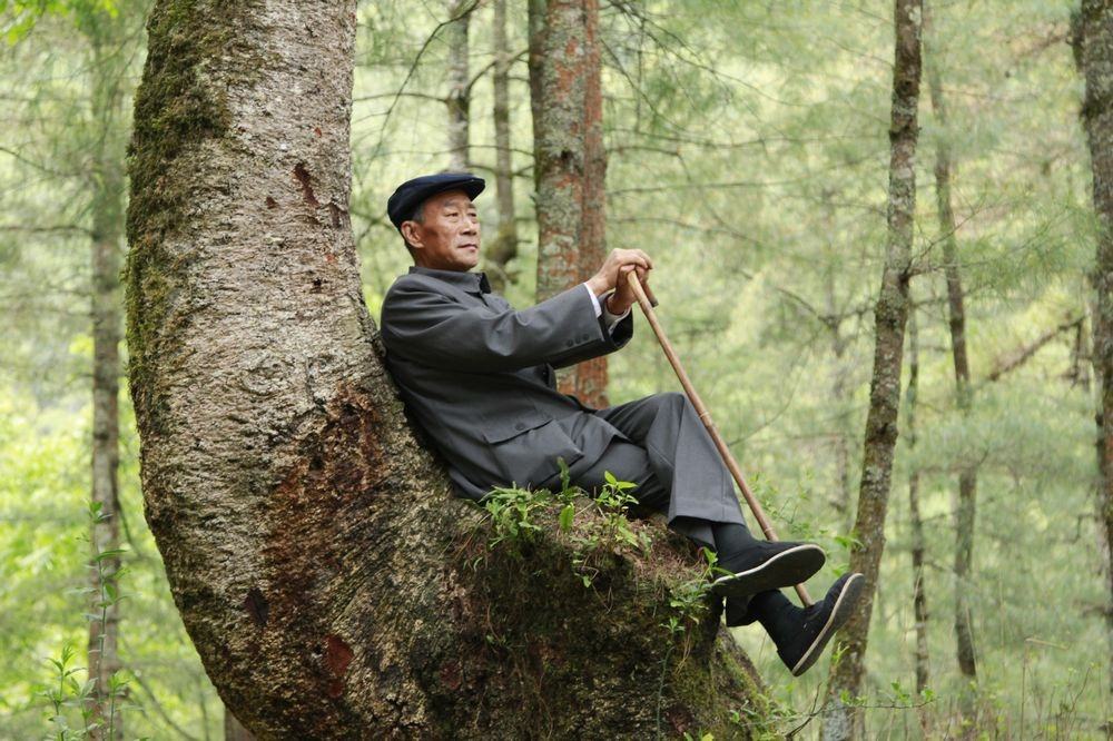 感动中国:绿树植荒山—杨善洲