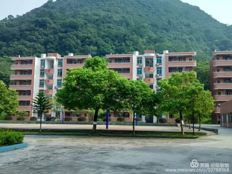 清远市博林实验学校迎来开学之日