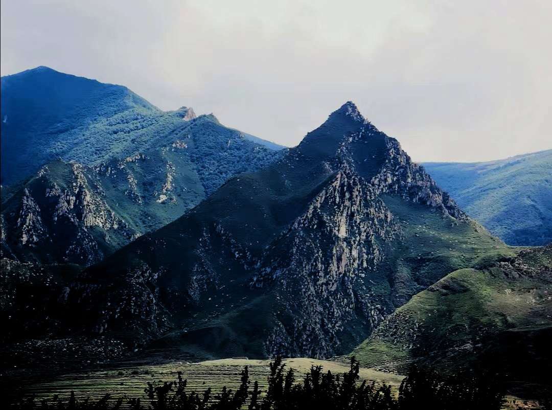 大力发扬大泉山生态精神 - 集团要闻 - 山西晋益泰