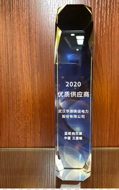 我司獲得由藍城集團頒發2020年度“優秀供應商”殊榮