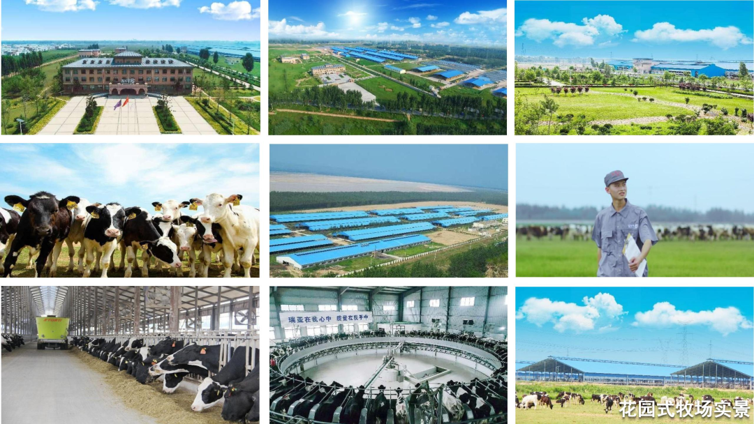 喜訊 ｜花花牛乳業集團下屬7家企業榮獲“農業產業化省重點龍頭企業”榮譽稱號