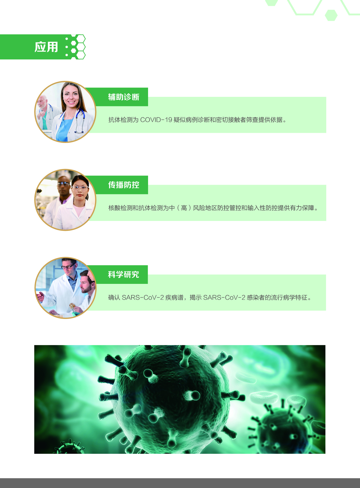 新冠病毒-中文版