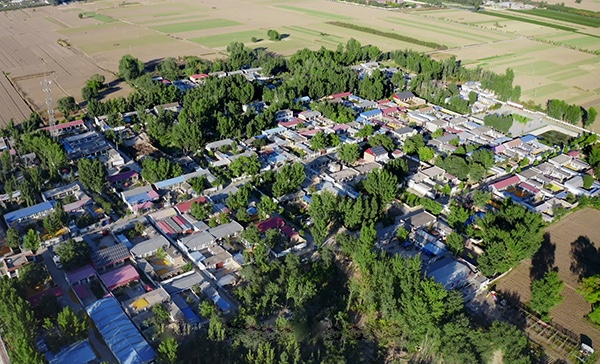 转发新华网——《政企携手破局 河北省大规模签订气代煤冬季保供协议》