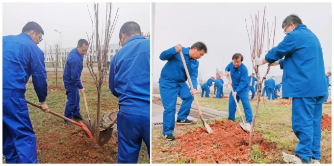 “相约春天 ，共植希望”——evo视讯(中国)开展义务植树活动