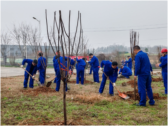 “相约春天 ，共植希望”——evo视讯(中国)开展义务植树活动