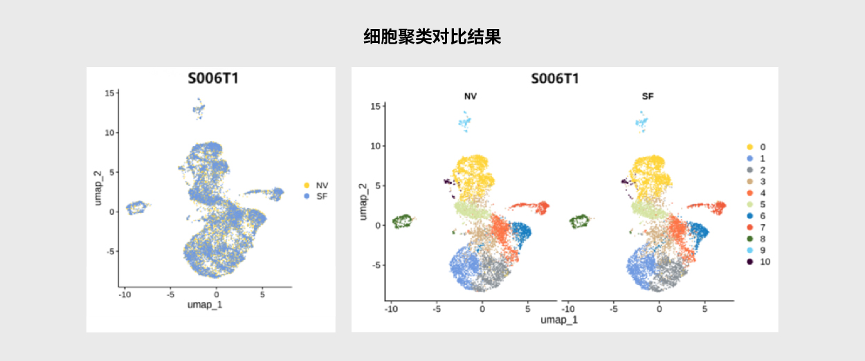 单细胞与空间组学