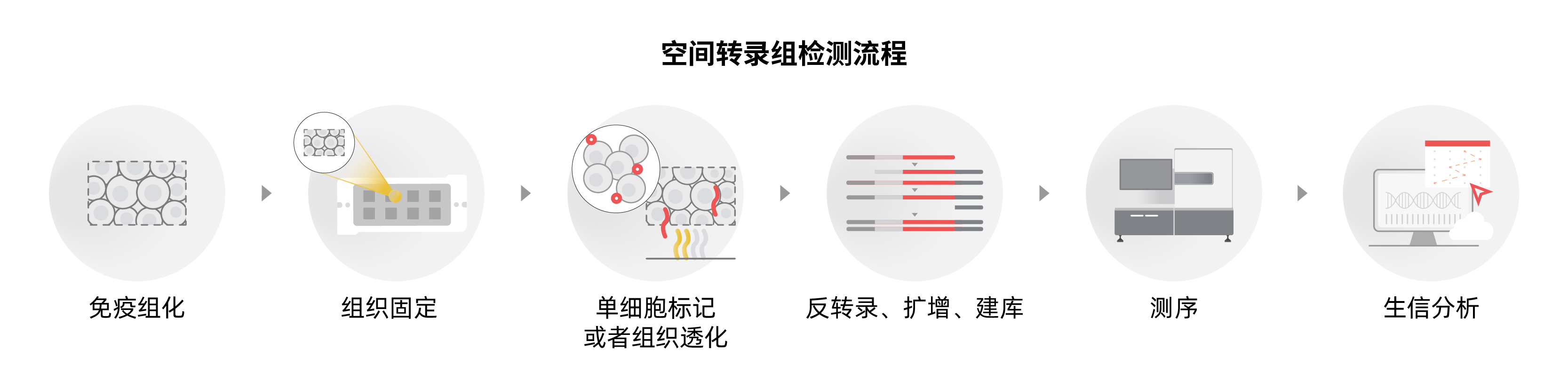 单细胞与空间组学