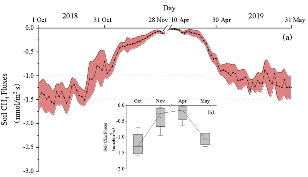 2018–2019年大興安嶺北部近地表土壤凍融期森林土壤CO2和CH4通量