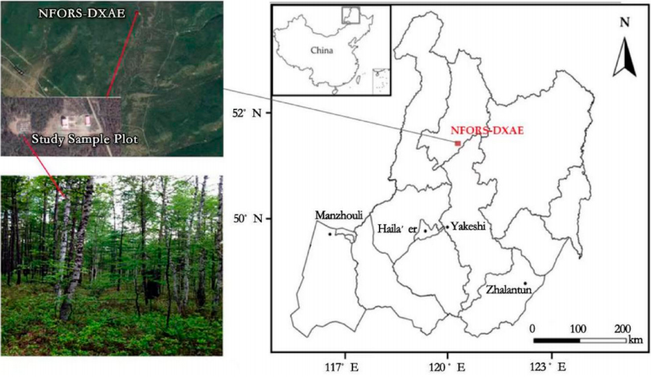 2018–2019年大興安嶺北部近地表土壤凍融期森林土壤CO2和CH4通量