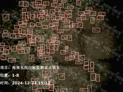 浙江省首套白蚁智慧监测系统 | 南宫NG28(中国)光电白蚁监测设备亮相宁波小型水库智能化管控现场会，守护堤坝安全防线！