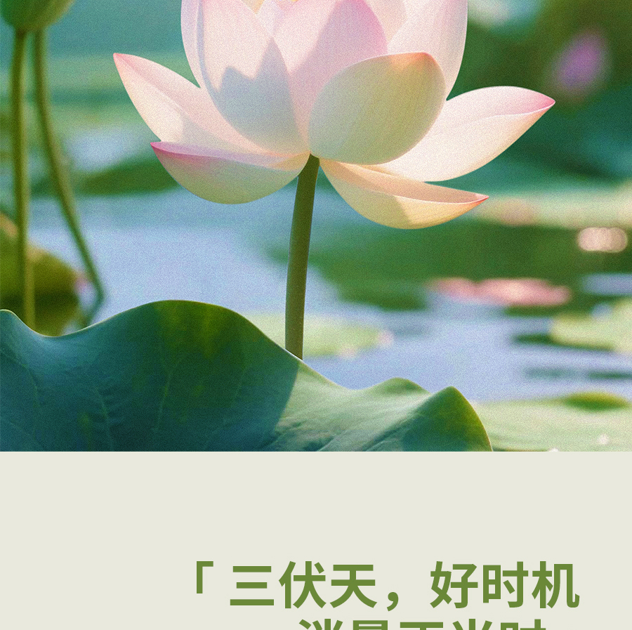 比艾灸省心，比泡脚持久！三伏天，选TA躺赢~